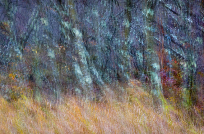 © Richard Speedy