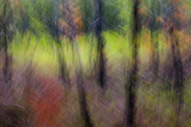 © Richard Speedy